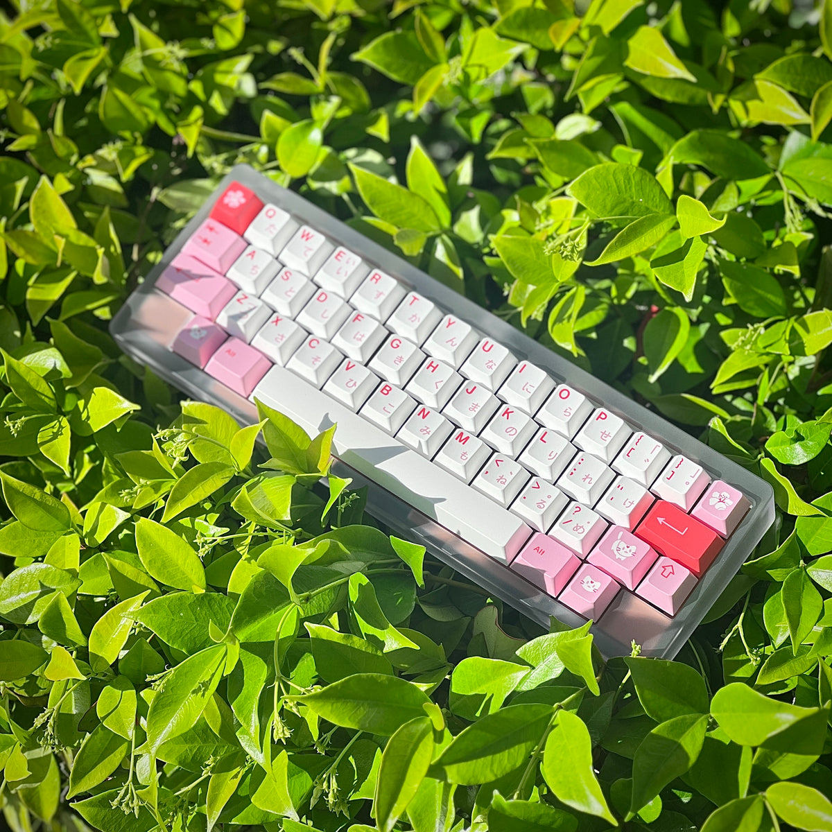 GMK CYL Hazakura