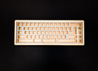 TX-65 v2