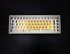 TX-65 v2