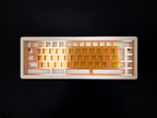 TX-65 v2